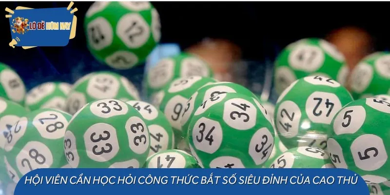 Hội viên cần học hỏi công thức bắt số siêu đỉnh của cao thủ