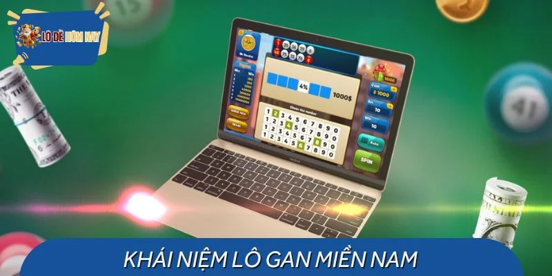 Tìm hiểu chính xác về lô gan miền Nam
