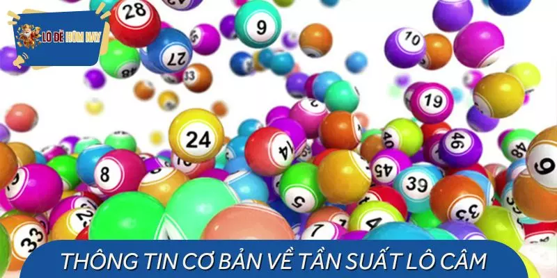 Vài thông tin cần nắm về tần suất lô câm